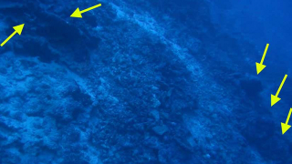 Is this the debris field from Amelia Earhart's plane?
